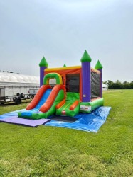 IMG 3461 1768785793 Retro Castle